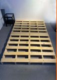  Giường pallet nâng size 