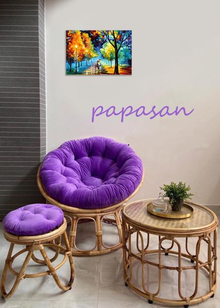  Ghế Papasan Xanh Tím 