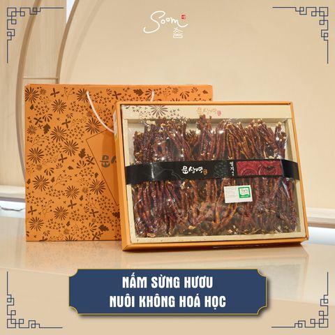  Nấm sừng hươu (nuôi không hóa học) - hộp 500g 