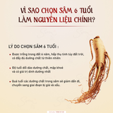  Cao hồng sâm Family Time 100 Hộp 10g x 100 gói 