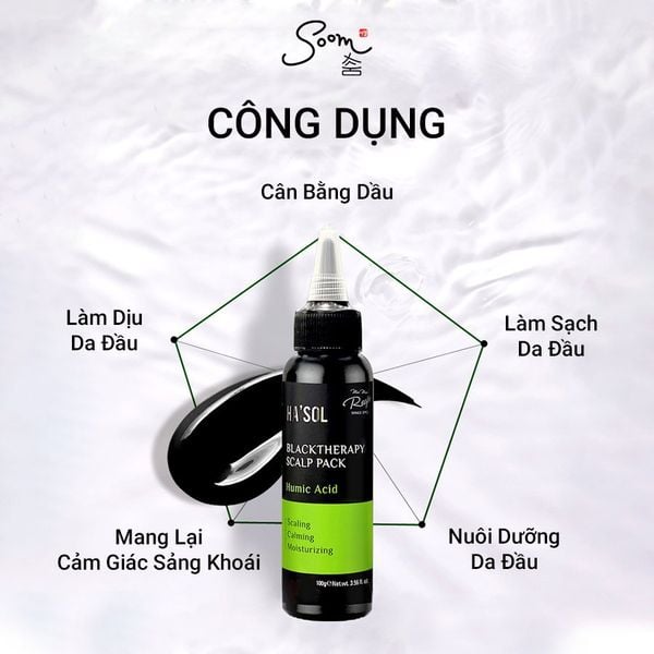  HA'SOL - Ủ da đầu Black Therapy Scalp Pack - Humic Acid (100g) 