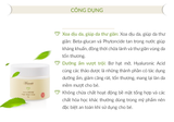  Kem ngăn ngừa và điều trị hăm Mamachi 50gr 