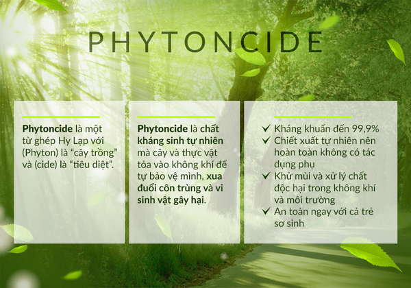  Nước Phytoncide nguyên chất thanh lọc làm sạch không khí, đồ dùng (Pure Phytoncide) 50 ml 