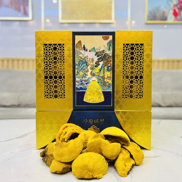  Nấm thượng hoàng cổ VVIP (hộp 1kg) 