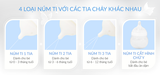  Núm ti Y-cut Mamachi 