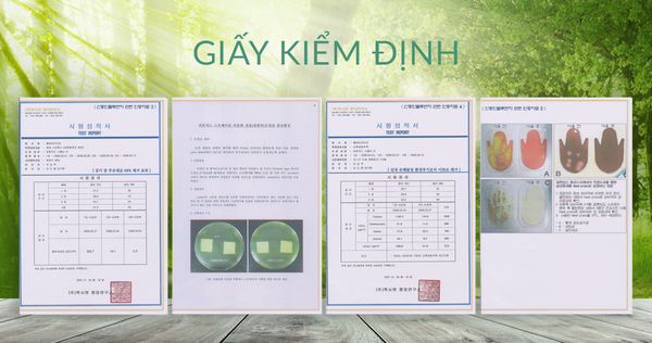  Nước Phytoncide tươi thanh lọc & làm sạch không khí, đồ dùng (Special Edition) đủ size 
