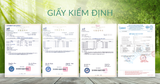  Nước Phytoncide tươi thanh lọc & làm sạch không khí, đồ dùng (Special Edition) đủ size 