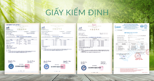  Nước Phytoncide tươi thanh lọc & làm sạch không khí, đồ dùng (Special Edition) đủ size 