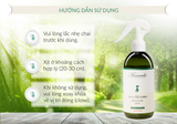  Nước Phytoncide tươi thanh lọc & làm sạch không khí, đồ dùng (Special Edition) đủ size 