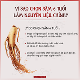  Cao hồng sâm Goryeon 10g 