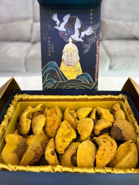  Nấm thượng hoàng cổ VVIP (hộp 1kg) 