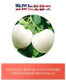  Bột Glutathione - SSF đỏ (Hộp 30 gói) 