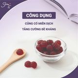  Kẹo dẻo thuần chay tăng miễn dịch - Immune Boost Gummies Vegetarian Gummy Jelly (60 viên) 