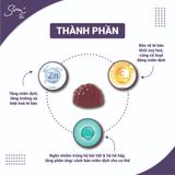  Kẹo dẻo thuần chay tăng miễn dịch - Immune Boost Gummies Vegetarian Gummy Jelly (60 viên) 