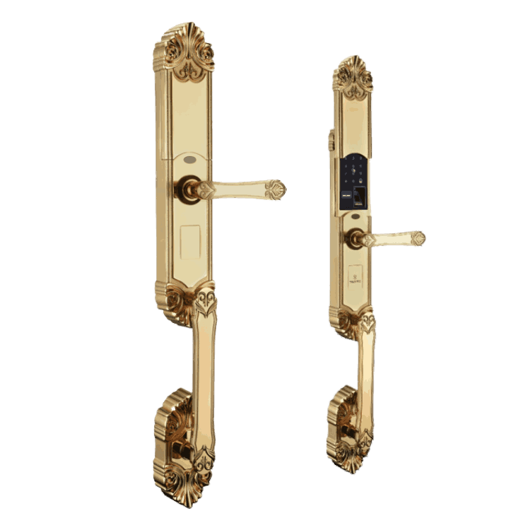 Khóa Vân Tay SEAKEY F79B