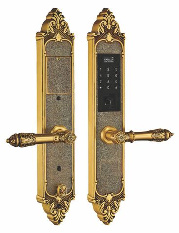 Khóa cửa vân tay tân cổ Kassler KL-959C