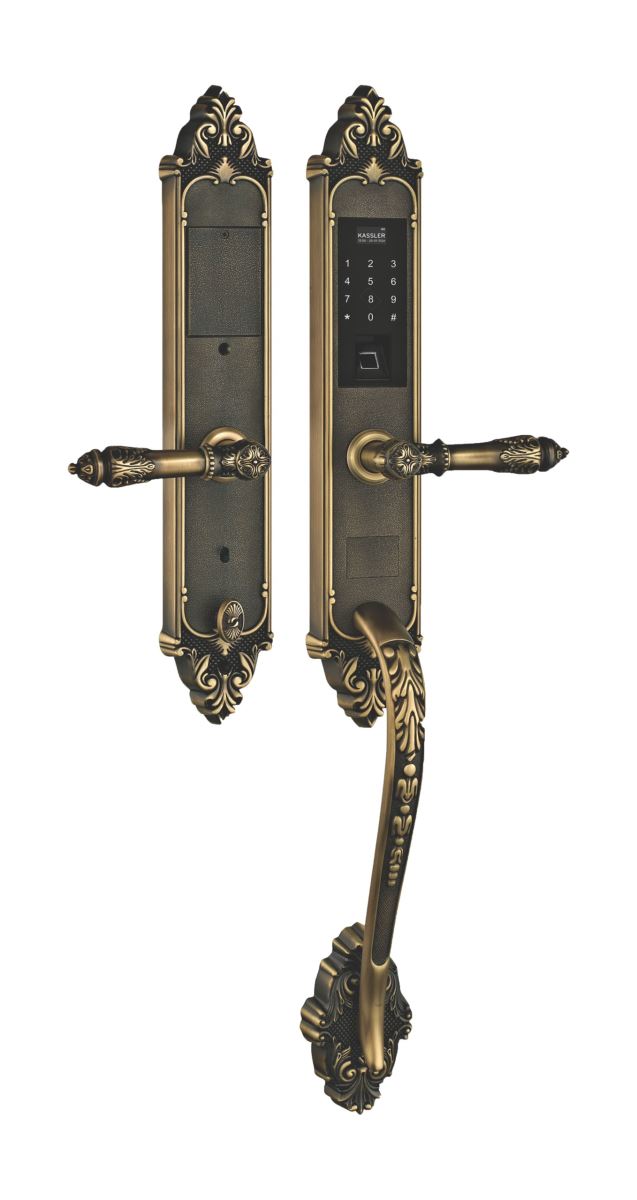 Khóa cửa vân tay tân cổ Đức KASSLER KL-969GR