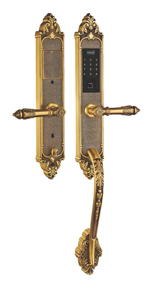 Khóa cửa vân tay tân cổ KASSLER KL-969C