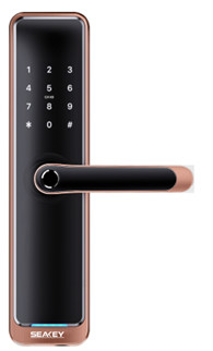 Khóa Vân Tay SEAKEY F36B