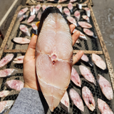 Cá Thu Một Nắng