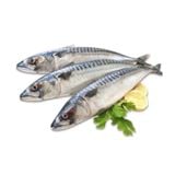 Cá Thu Tươi Cắt Khúc