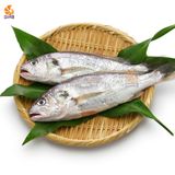 Cá Đù Sơ Chế 500g