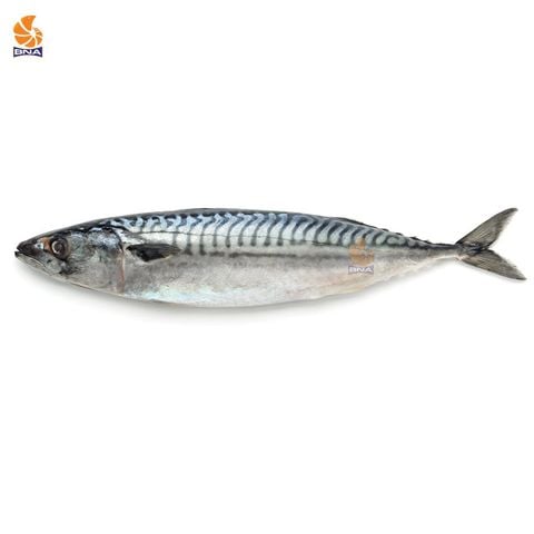 Cá Thu Tươi Cắt Khúc