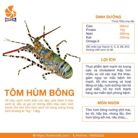 Tôm hùm bông 700/900