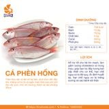 Cá Phèn Sơ Chế 500g