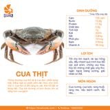 Cua Thịt