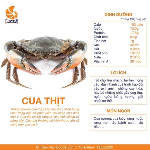 Cua Thịt
