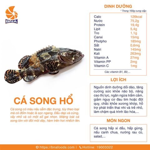 Cá Song Hổ