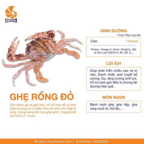 Ghẹ Rồng Đỏ
