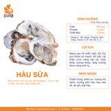 Hàu Sữa Sống
