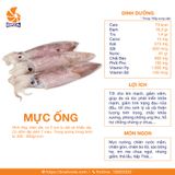 Mực Ống Một Nắng