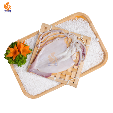 Mực Ống Một Nắng