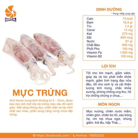 Mực Trứng