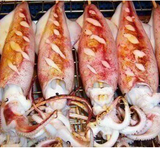 Mực Trứng