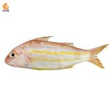 Cá Phèn Sơ Chế 500g