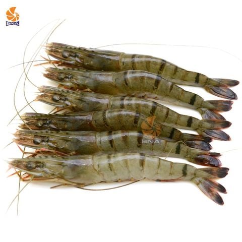 Tôm Sú Quảng Canh Nguyên Con (1kg)