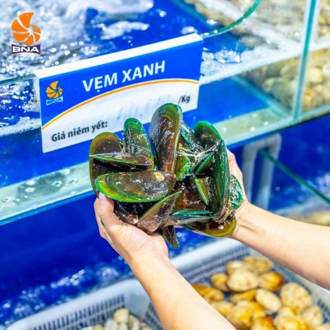 Vẹm Xanh
