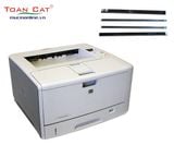 THANH SẤY HP LASER 5200