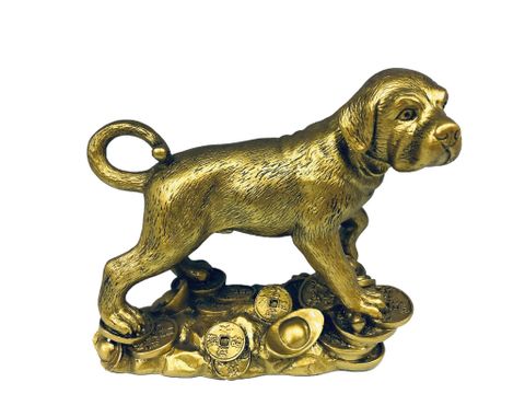 Tượng Chó Trên Đống Vàng