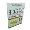 Giải Bài Tập Đại Số & Giải Tích Lớp 11 - Tự Luận Và Trắc Nghiệm