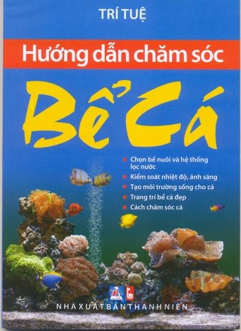 Hướng Dẫn Chăm Sóc Bể Cá