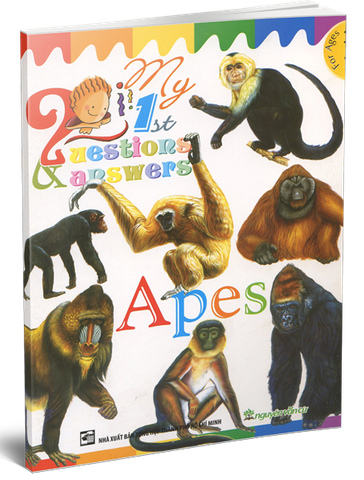 My 1 ST Questions & Answers - Apes