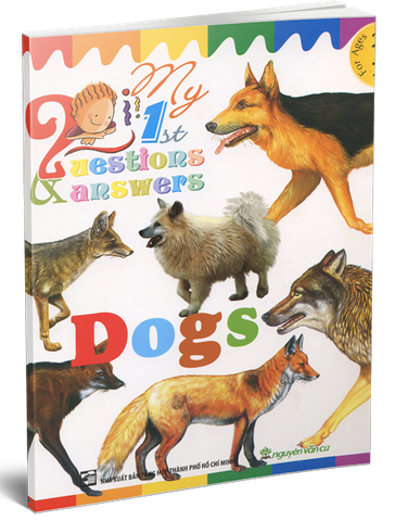 My 1 ST Questions & Answers - Dogs