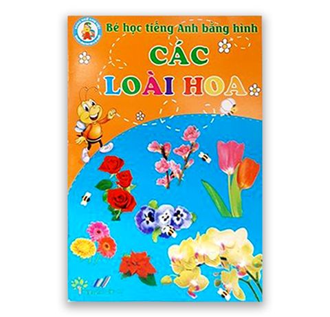 Bé Học Tiếng Anh Bằng Hình - Các Loại Hoa