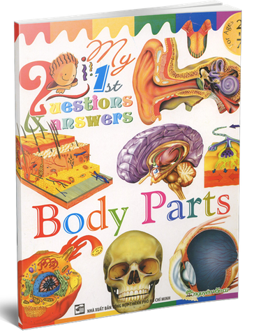 My 1 ST Questions & Answers - Body Parts