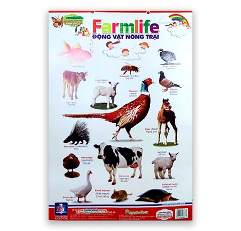 Poster Động Vật Nông Trại